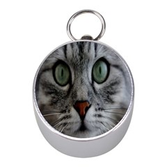 Cat Face Eyes Gray Fluffy Cute Animals Mini Silver Compasses by Mariart