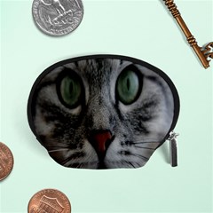 Cat Face Eyes Gray Fluffy Cute Animals Accessory Pouches (small)  by Mariart