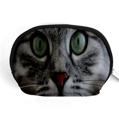 Cat Face Eyes Gray Fluffy Cute Animals Accessory Pouches (medium) 