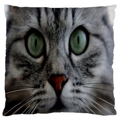 Cat Face Eyes Gray Fluffy Cute Animals Standard Flano Cushion Case (two Sides) by Mariart