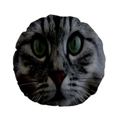 Cat Face Eyes Gray Fluffy Cute Animals Standard 15  Premium Flano Round Cushions