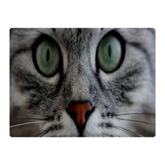 Cat Face Eyes Gray Fluffy Cute Animals Double Sided Flano Blanket (mini)  by Mariart