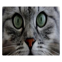 Cat Face Eyes Gray Fluffy Cute Animals Double Sided Flano Blanket (small)  by Mariart