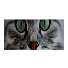 Cat Face Eyes Gray Fluffy Cute Animals Satin Wrap by Mariart