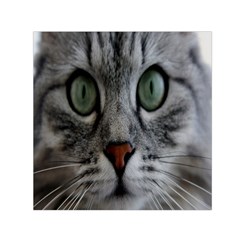 Cat Face Eyes Gray Fluffy Cute Animals Small Satin Scarf (square) by Mariart