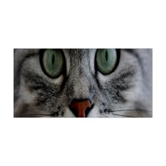 Cat Face Eyes Gray Fluffy Cute Animals Yoga Headband by Mariart