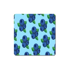 Fruit Nordic Grapes Green Blue Square Magnet by Mariart