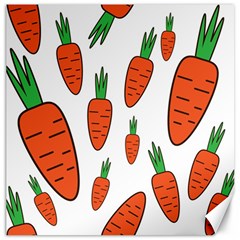 Fruit Vegetable Carrots Canvas 20  X 20  