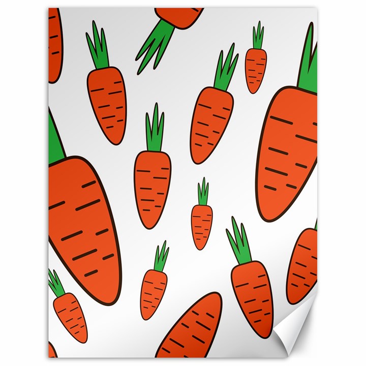 Fruit Vegetable Carrots Canvas 18  x 24  