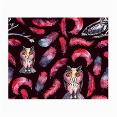 Boho Owl And Feather Pattern Small Glasses Cloth (2-side) by paulaoliveiradesign