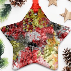 Garden Abstract Star Ornament (two Sides) by digitaldivadesigns