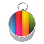 Rainbow Stripes Vertical Lines Colorful Blue Pink Orange Green Mini Silver Compasses Front