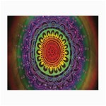 Rainbow Mandala Circle Small Glasses Cloth Front