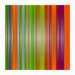 Rainbow Stripes Vertical Colorful Bright Medium Glasses Cloth (2-Side) Front