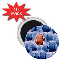 Swim Fish 1 75  Magnets (10 Pack)  by Mariart