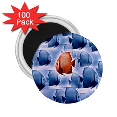 Swim Fish 2 25  Magnets (100 Pack) 