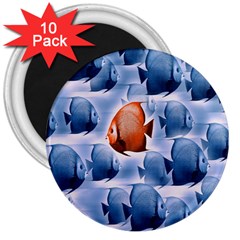 Swim Fish 3  Magnets (10 Pack) 