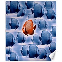 Swim Fish Canvas 20  X 24  