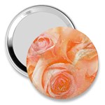 Flower Power, Wonderful Roses, Vintage Design 3  Handbag Mirrors