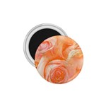 Flower Power, Wonderful Roses, Vintage Design 1.75  Magnets Front