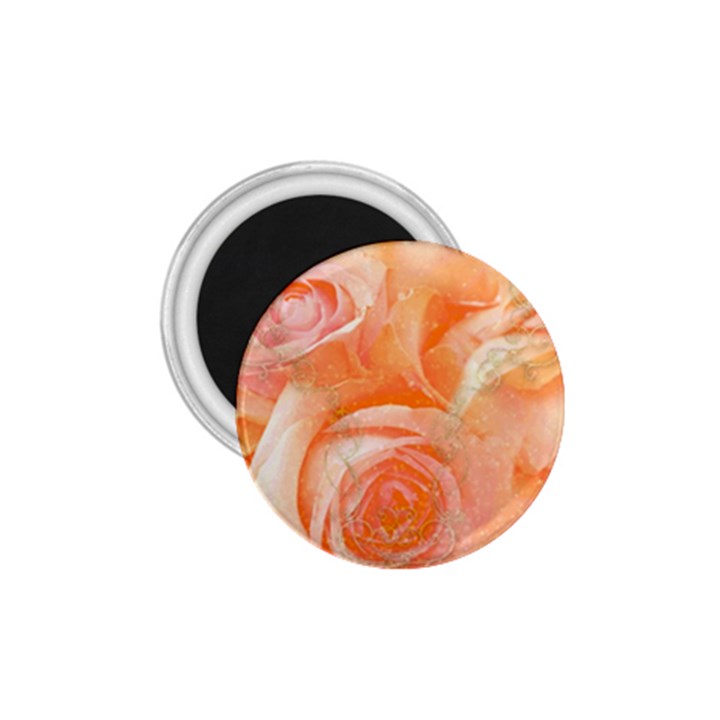 Flower Power, Wonderful Roses, Vintage Design 1.75  Magnets