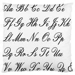 Alphabet Embassy Font Large Flano Cushion Case (One Side) Front