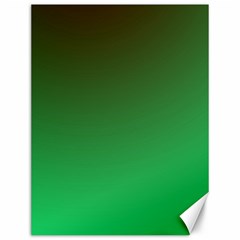 Course Colorful Pattern Abstract Green Canvas 12  X 16   by Nexatart