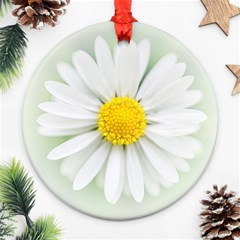 Art Daisy Flower Art Flower Deco Ornament (round) by Nexatart