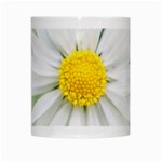 Art Daisy Flower Art Flower Deco White Mugs Center