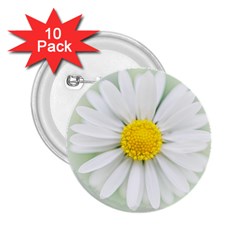 Art Daisy Flower Art Flower Deco 2 25  Buttons (10 Pack)  by Nexatart