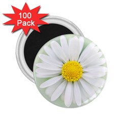 Art Daisy Flower Art Flower Deco 2 25  Magnets (100 Pack)  by Nexatart