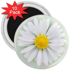 Art Daisy Flower Art Flower Deco 3  Magnets (10 Pack)  by Nexatart