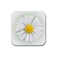 Art Daisy Flower Art Flower Deco Rubber Coaster (square)  by Nexatart