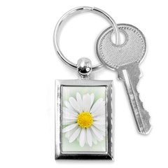 Art Daisy Flower Art Flower Deco Key Chains (rectangle)  by Nexatart