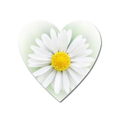 Art Daisy Flower Art Flower Deco Heart Magnet by Nexatart