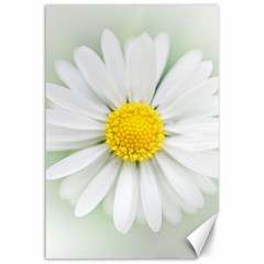 Art Daisy Flower Art Flower Deco Canvas 12  X 18   by Nexatart