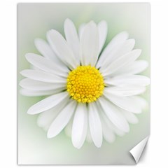 Art Daisy Flower Art Flower Deco Canvas 16  X 20   by Nexatart