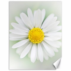 Art Daisy Flower Art Flower Deco Canvas 18  X 24   by Nexatart