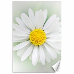 Art Daisy Flower Art Flower Deco Canvas 20  X 30   by Nexatart