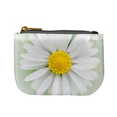 Art Daisy Flower Art Flower Deco Mini Coin Purses by Nexatart