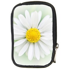 Art Daisy Flower Art Flower Deco Compact Camera Cases by Nexatart