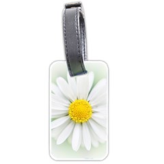 Art Daisy Flower Art Flower Deco Luggage Tags (two Sides) by Nexatart