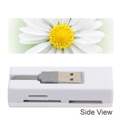 Art Daisy Flower Art Flower Deco Memory Card Reader (stick) 