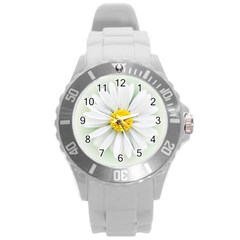 Art Daisy Flower Art Flower Deco Round Plastic Sport Watch (l) by Nexatart