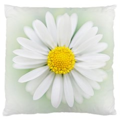 Art Daisy Flower Art Flower Deco Large Cushion Case (two Sides) by Nexatart