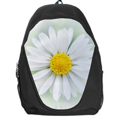 Art Daisy Flower Art Flower Deco Backpack Bag by Nexatart