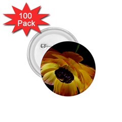 Ranunculus Yellow Orange Blossom 1 75  Buttons (100 Pack)  by Nexatart