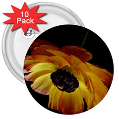 Ranunculus Yellow Orange Blossom 3  Buttons (10 Pack)  by Nexatart