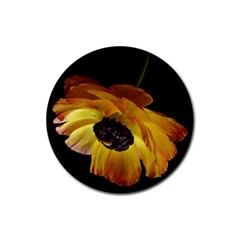 Ranunculus Yellow Orange Blossom Rubber Round Coaster (4 Pack)  by Nexatart