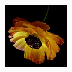 Ranunculus Yellow Orange Blossom Medium Glasses Cloth by Nexatart